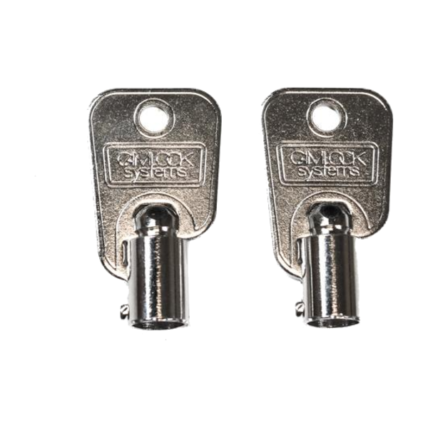AMS - Keys for Lock, Set of 2