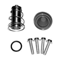 RMI - Valve Rebuild Kit, Brewer