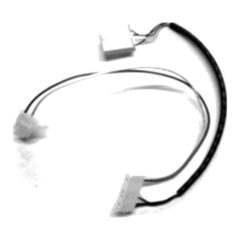 Coinco - Harness, 407419-1