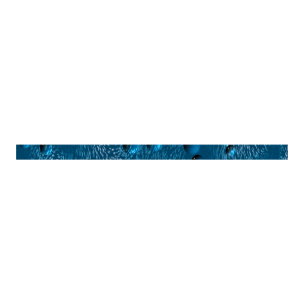 Vendo - Vue X-Rail Decal, 31.7 x 1.5 Inch, Vue 30/40 Cold Drink