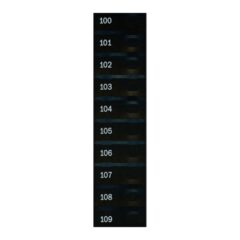 Automatic Products - Studio Item Labels, 100 to 109 Candy, 17400158