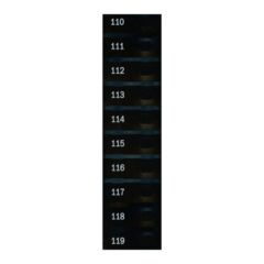 Automatic Products - Studio Item Labels, 110 to 119 Candy, 17400159