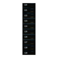 Automatic Products - Studio Item Labels, 120 to 129 Candy, 17400160