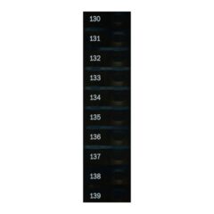 Automatic Products - Studio Item Labels, 130 to 139 Candy, 17400161