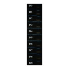 Automatic Products - Studio Item Labels, 140 to 149 Candy, 17400162