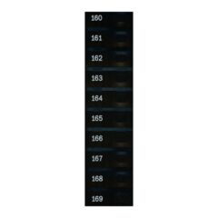 Automatic Products - Studio Item Labels, 160 to 169 Candy, 17400164