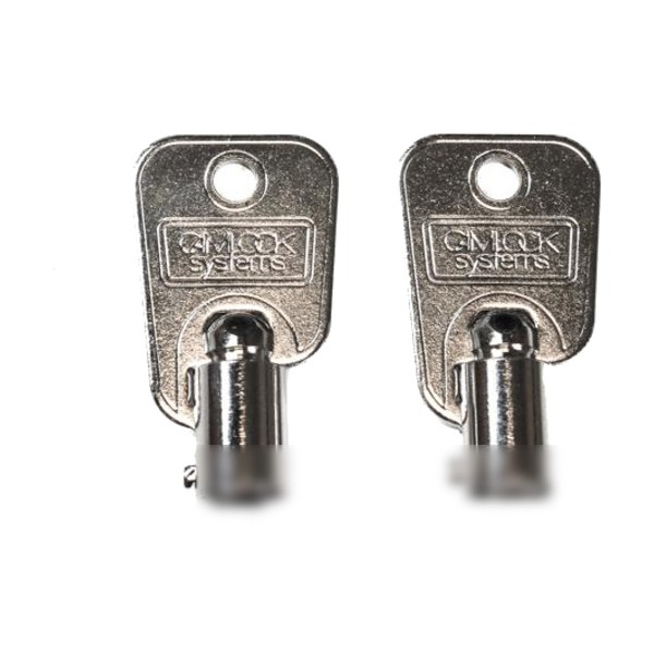 AMS - Keys for Lock, Set of 2